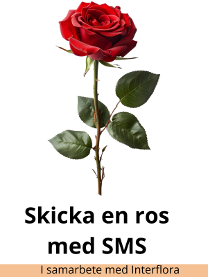 Ros och texten Skicka en ros
